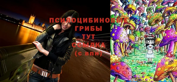 MESCALINE Магас