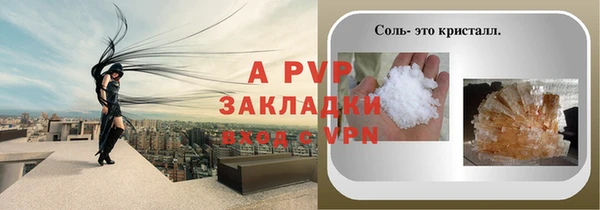 спиды Лиски