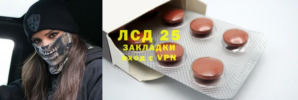 гидра Липки