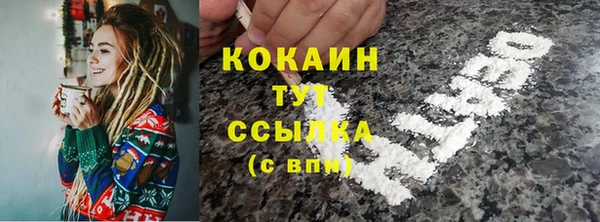 спиды Лиски