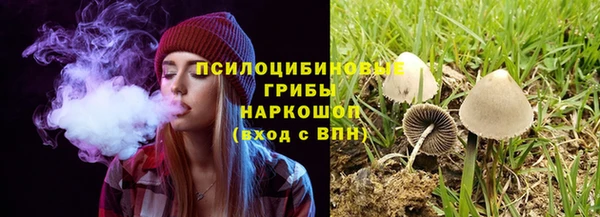 гидра Липки