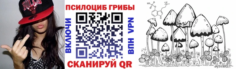 купить наркотик  Камешково  Галлюциногенные грибы Magic Shrooms 